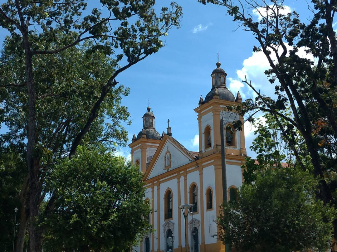 Catedral Metropolitana de Manaus-玛瑙斯必去景点