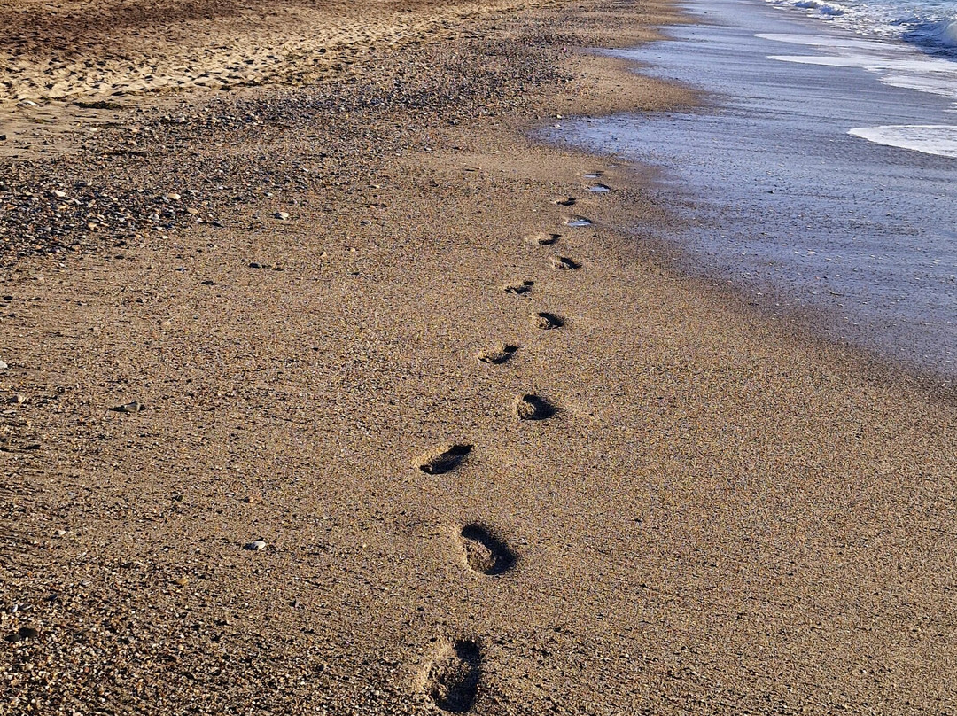 Playas De Vera景点图片