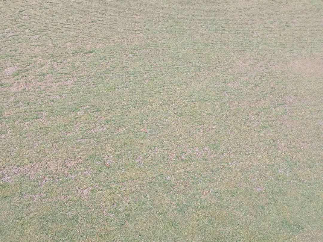 Awarii Dunes Golf Club-Axtell必去景点