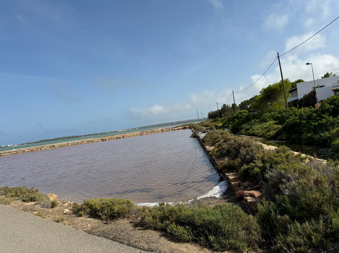 Parc Natural De Ses Salines-福门特拉岛必去景点