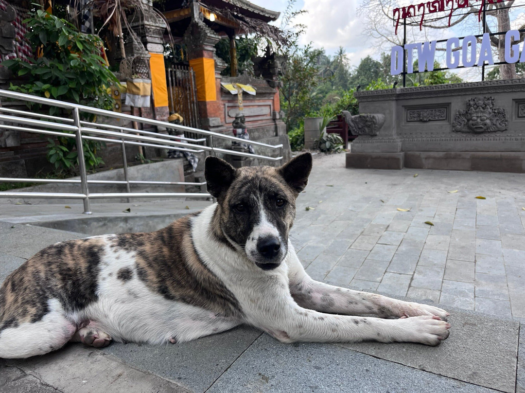 Bali Badass-长谷必去景点