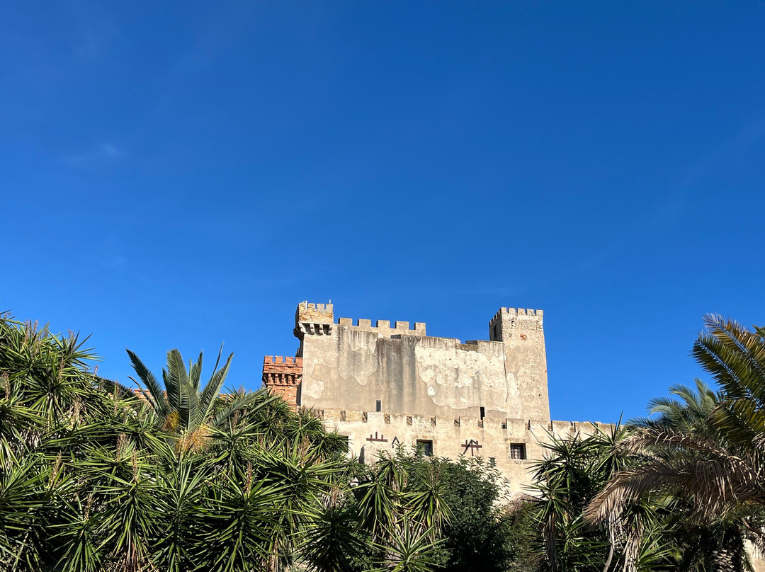 Castello di Falconara景点图片
