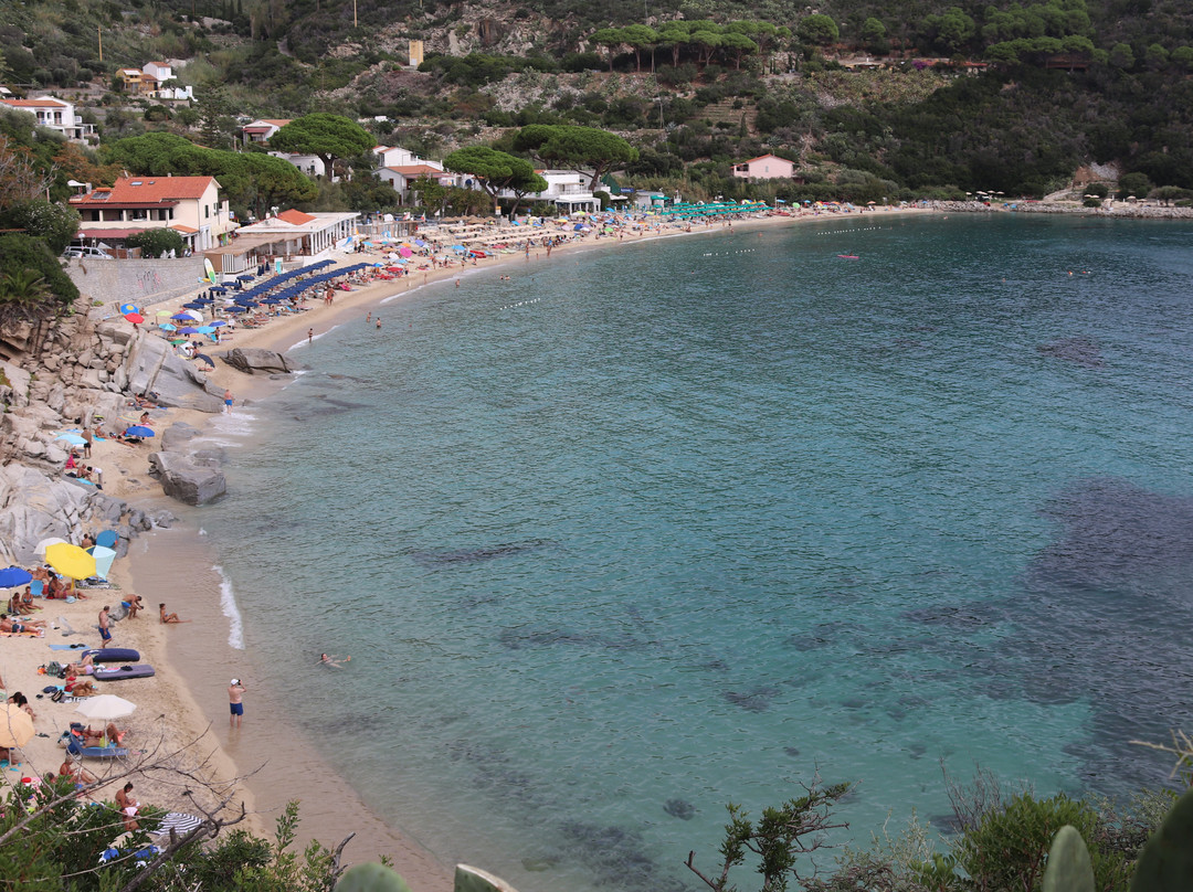 Spiaggia di Cavoli景点图片