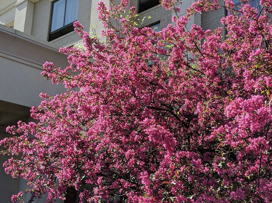 巴特勒县酒店住宿-Hampton Inn & Suites Cincinnati-Union Centre