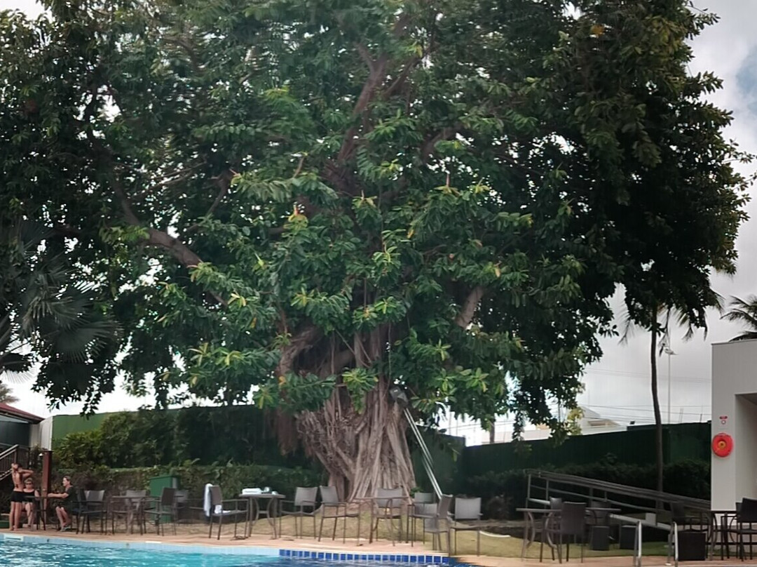 Blue Tree Towers São Luis主图