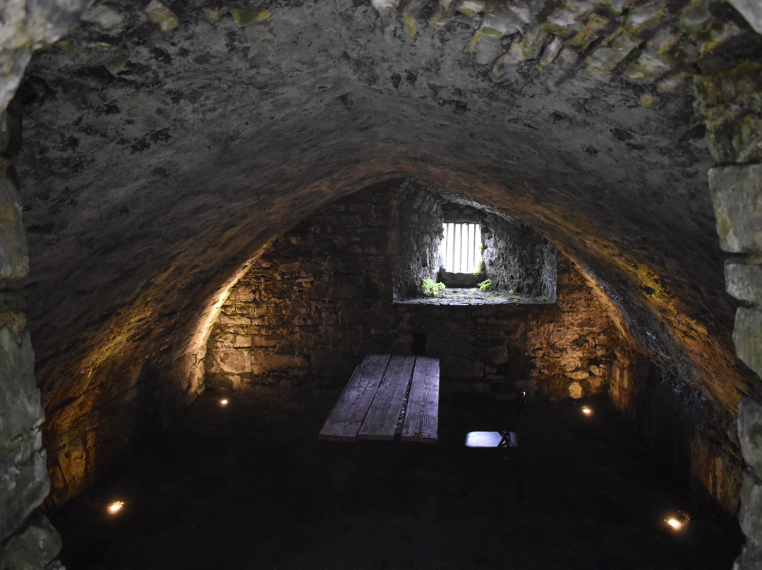 Oystermouth Castle景点图片