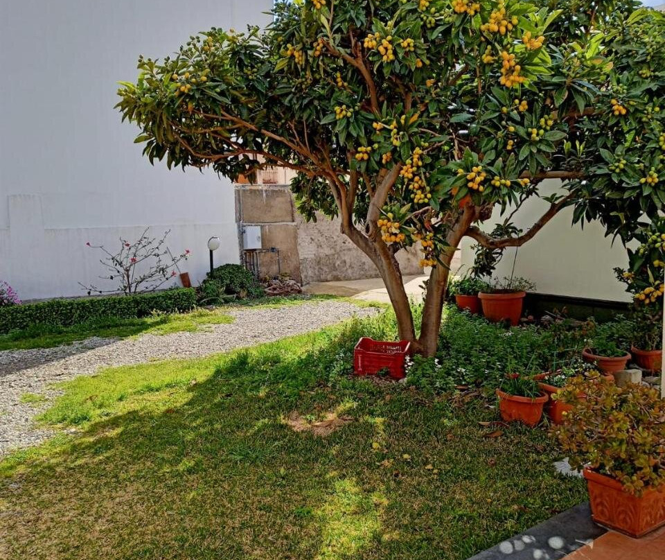 A Nespulara