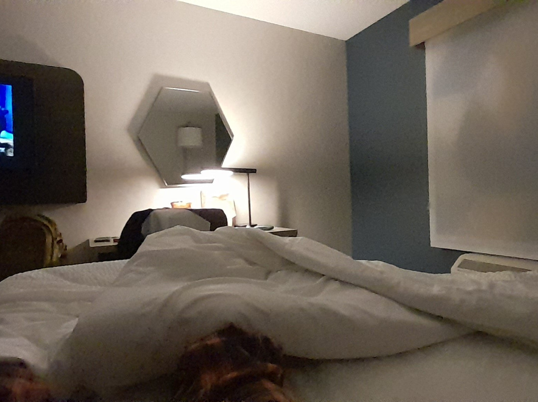 Holiday Inn Express & Suites Belleville (airport Area) By IHG主图