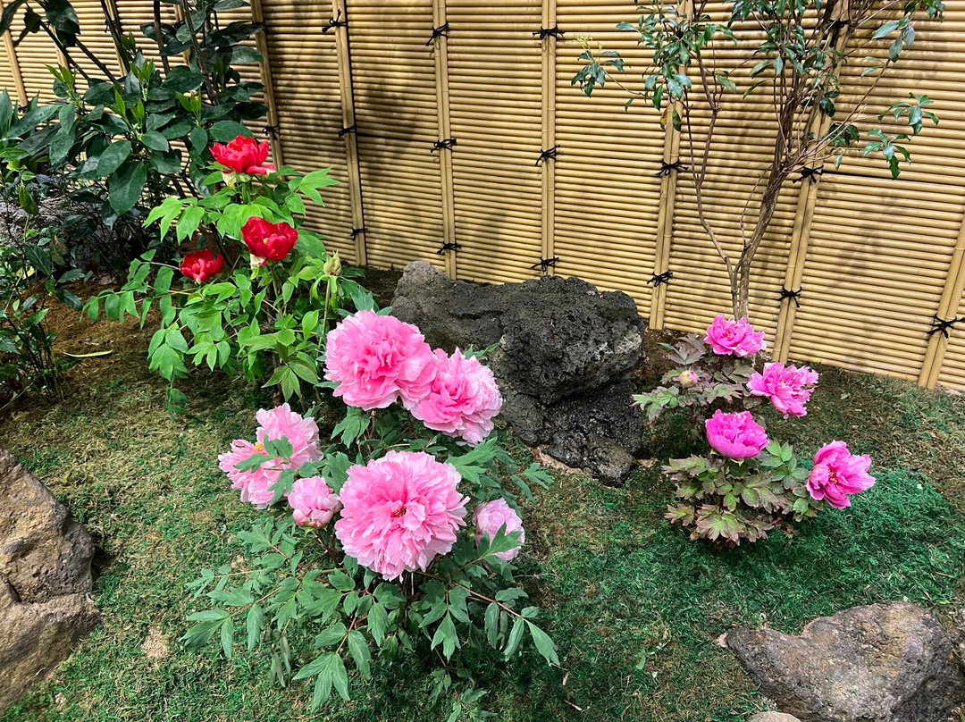 由志園-松江市必去景点