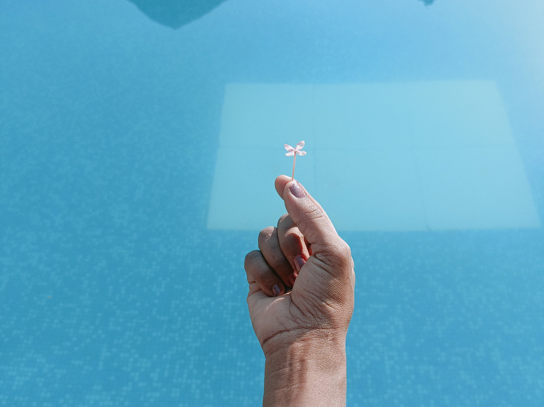 The Divine Resort主图