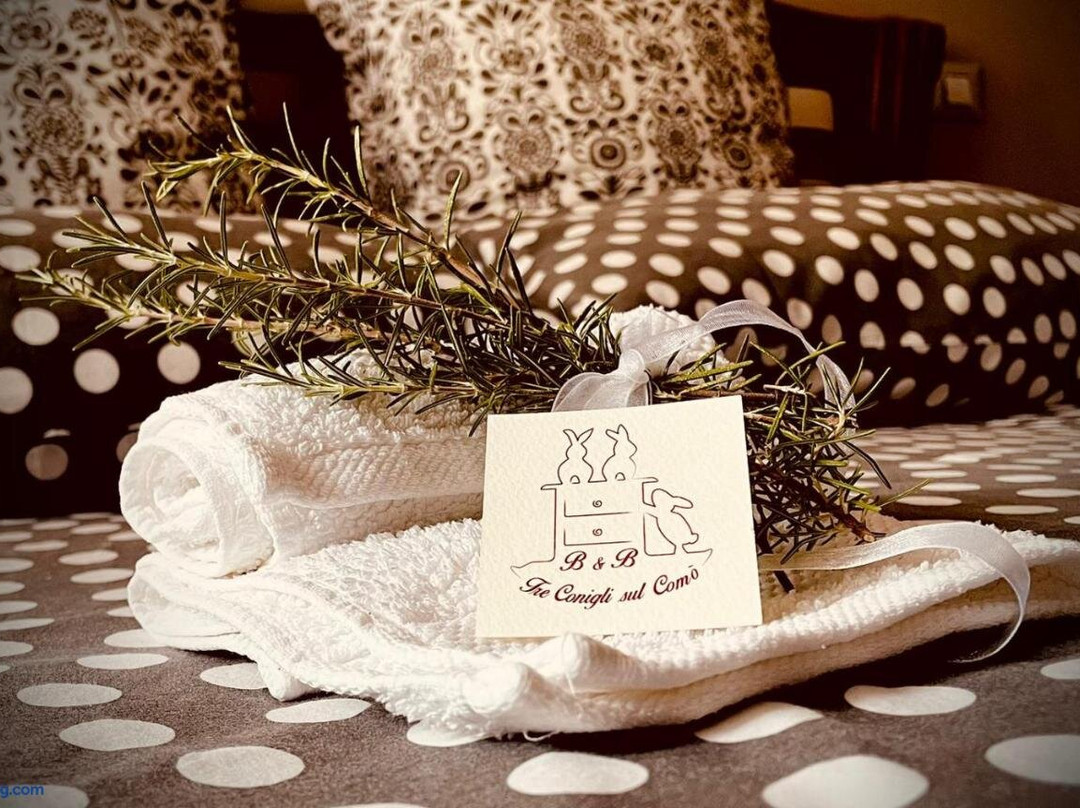 Sant'Eraclio酒店住宿-B&B Tre Conigli sul Comò