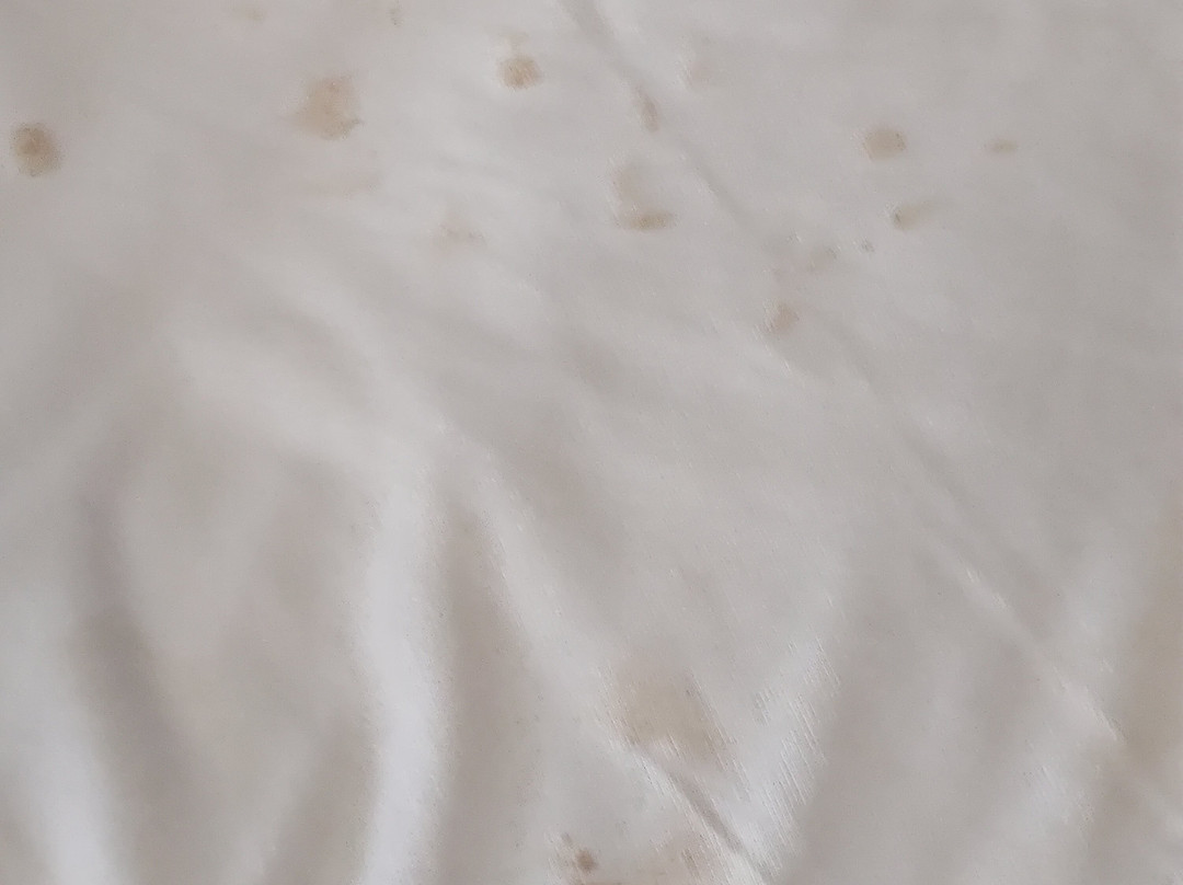 Hampton Inn Lumberton主图