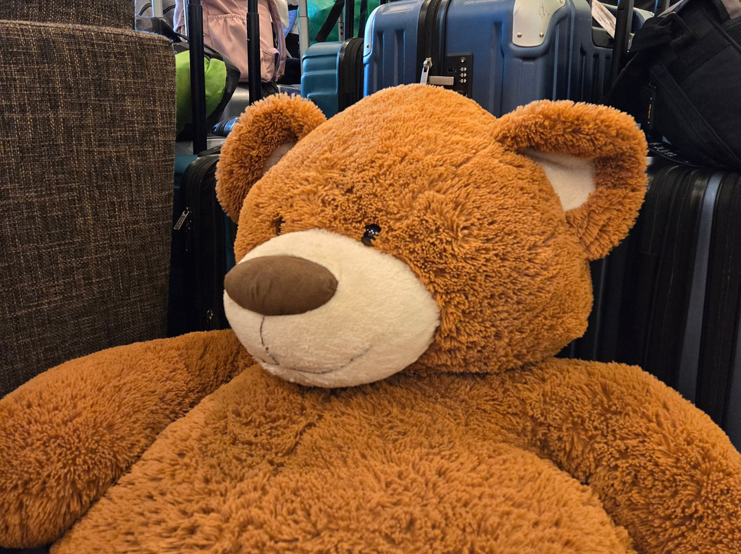 悦府西雅图市中心酒店主图