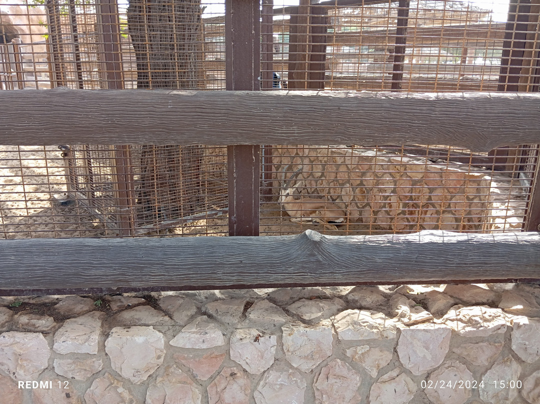 Al Khor Park-Al Khor必去景点