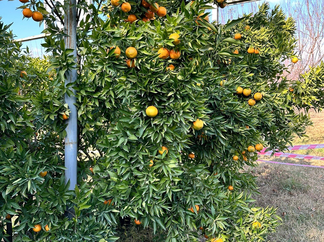 Bio Garden-舍基必去景点