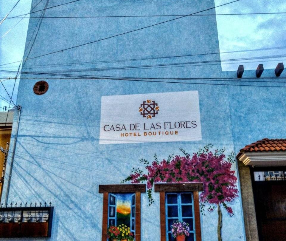 Casa de las Flores Hotel Boutique主图