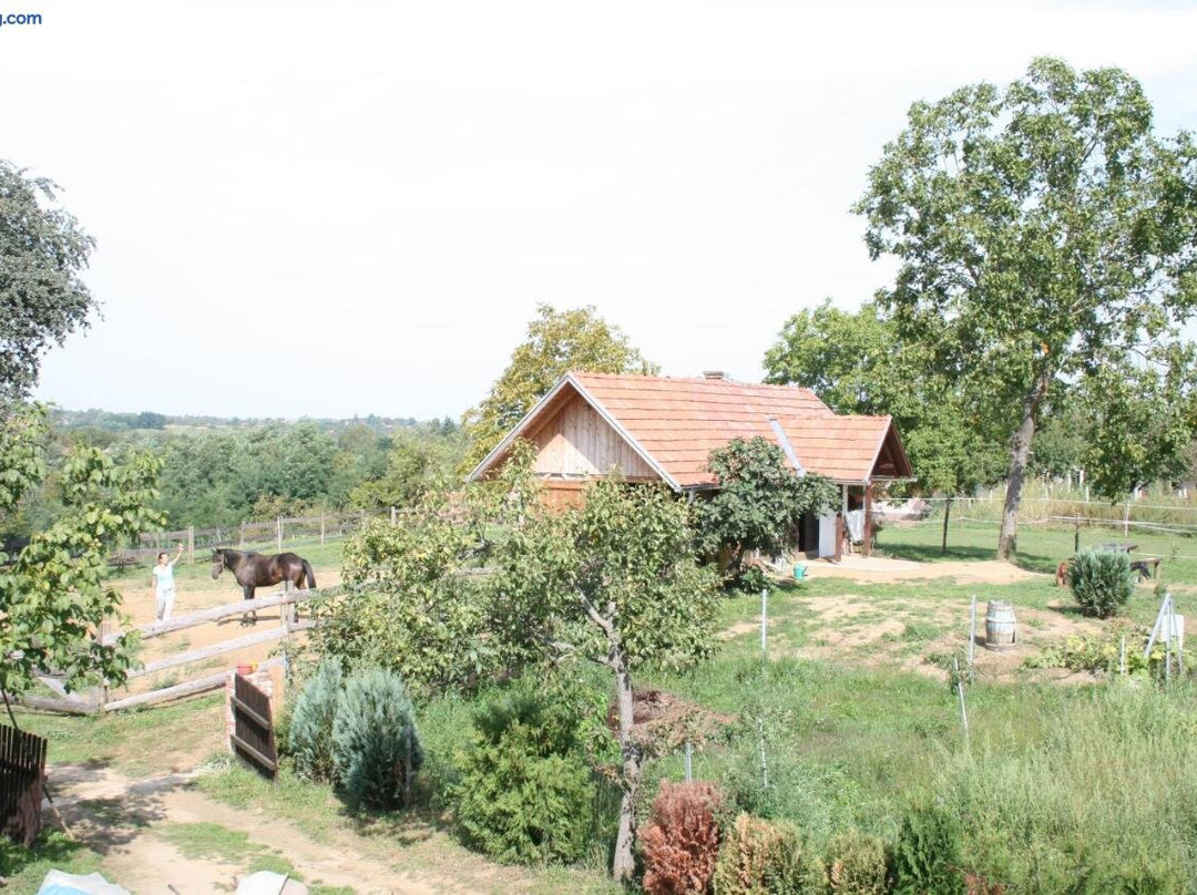 Farmica, Bed&Breakfast, Bazen Izdvojen Nekoliko Minuta Hoda