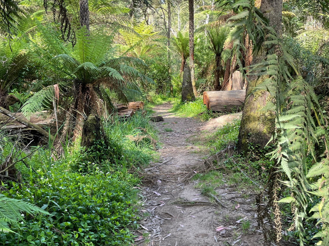 Baynes Park-蒙布克必去景点