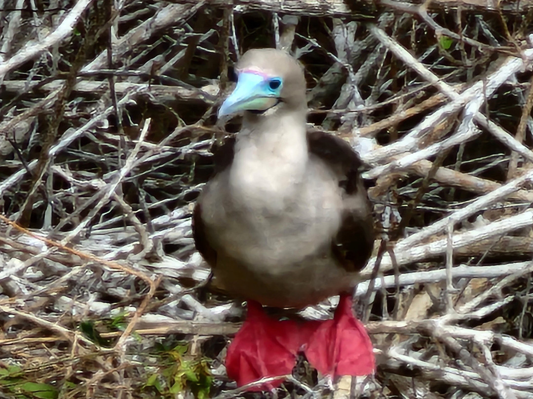 Enjoying Ecuador Travel-基多必去景点
