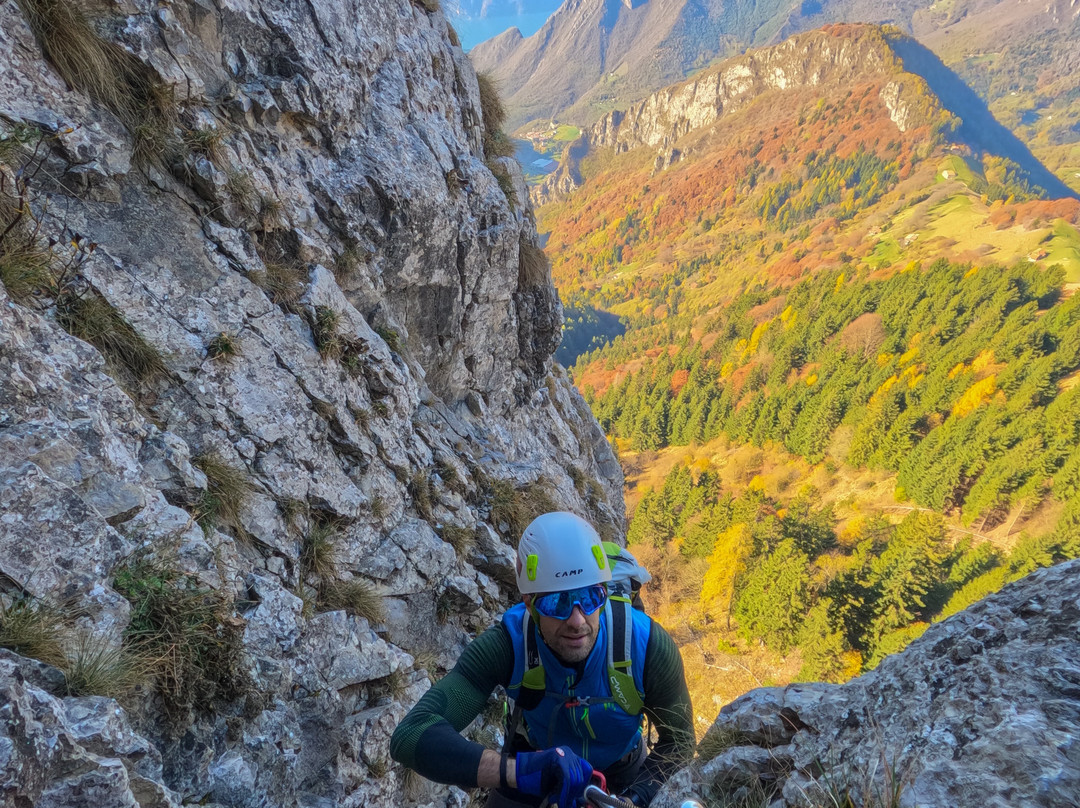 Bosco degli Gnomi景点图片