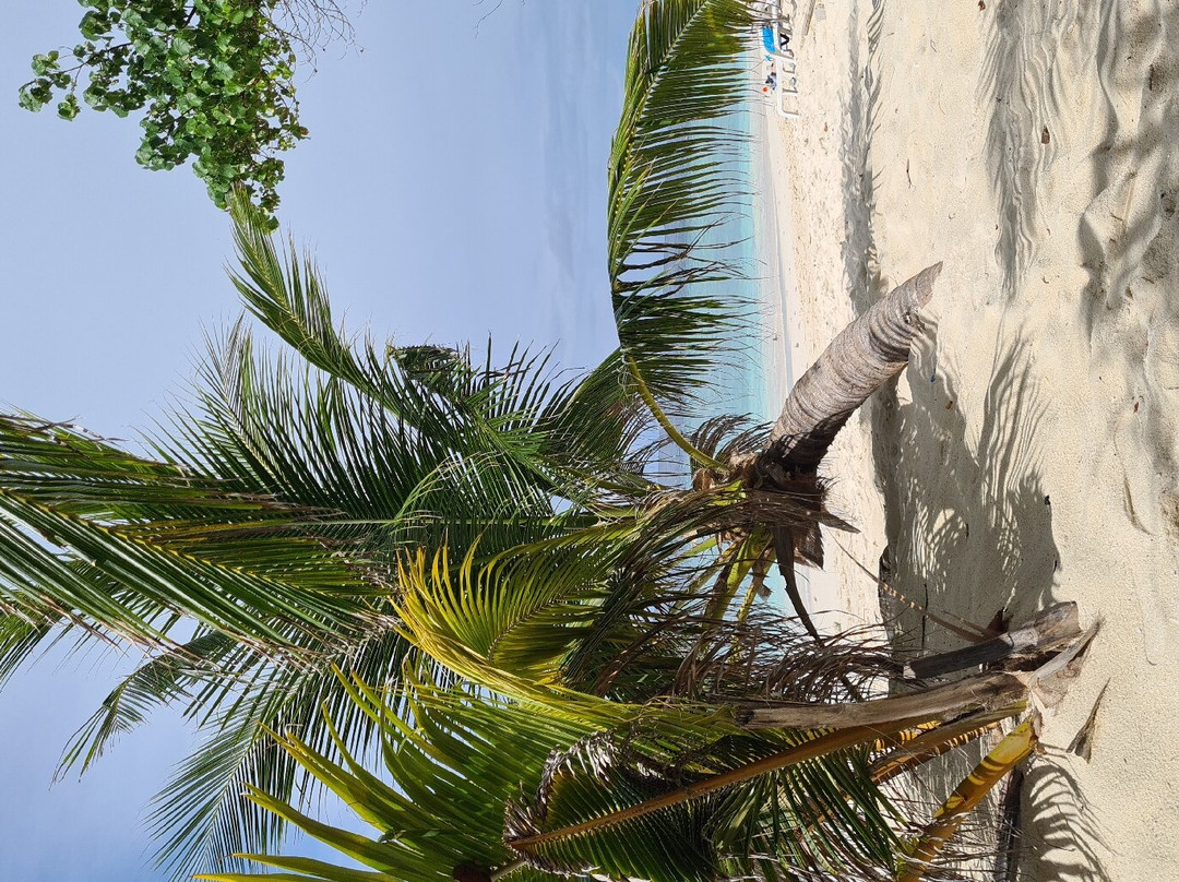 Shaviyani Retreat主图