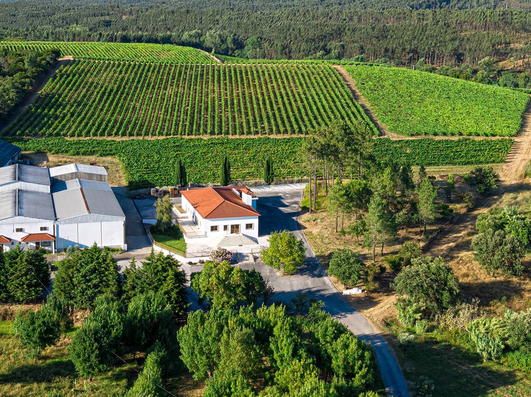 Herdade Dos Templários-Sao Pedro de Tomar必去景点