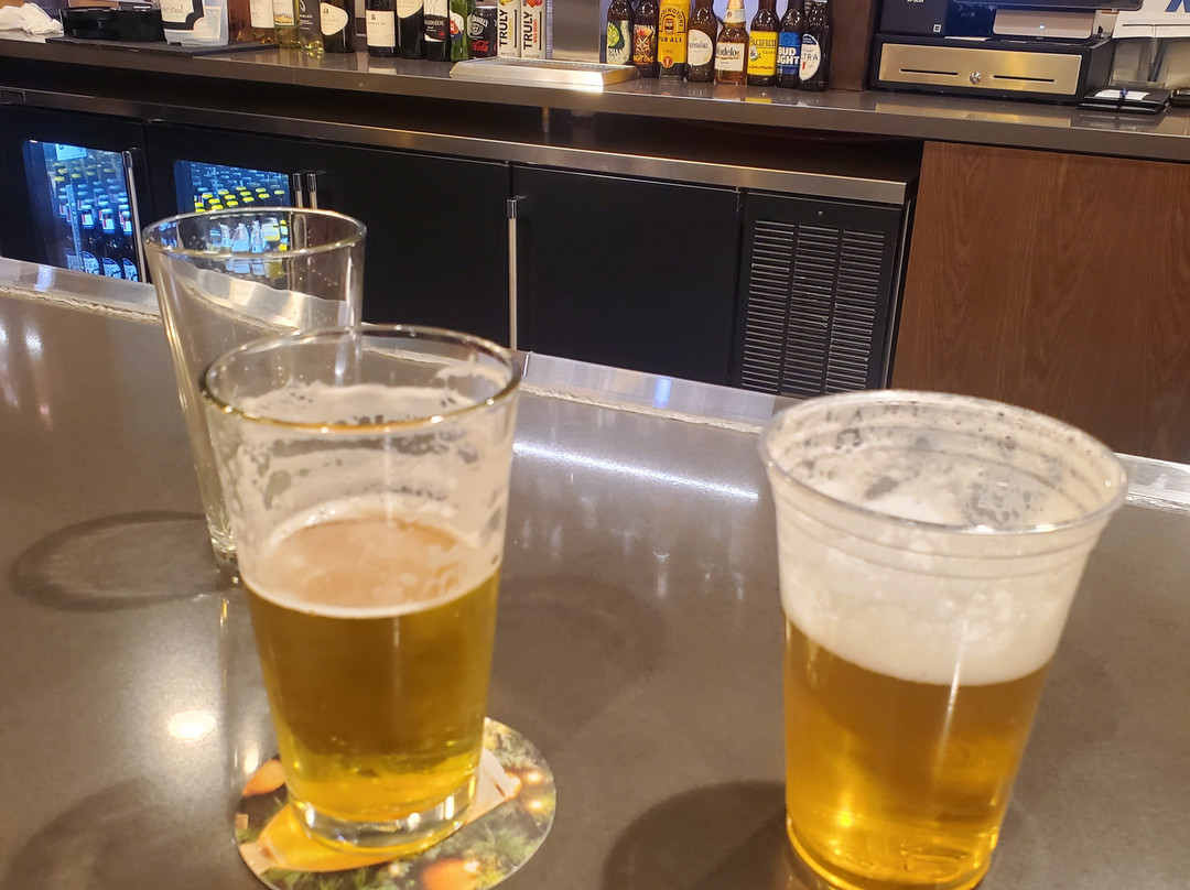 Ayres Hotel Rialto Fontana主图