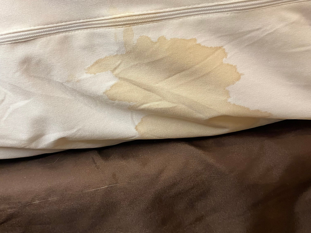 Microtel Inn & Suites by Wyndham Cambridge主图