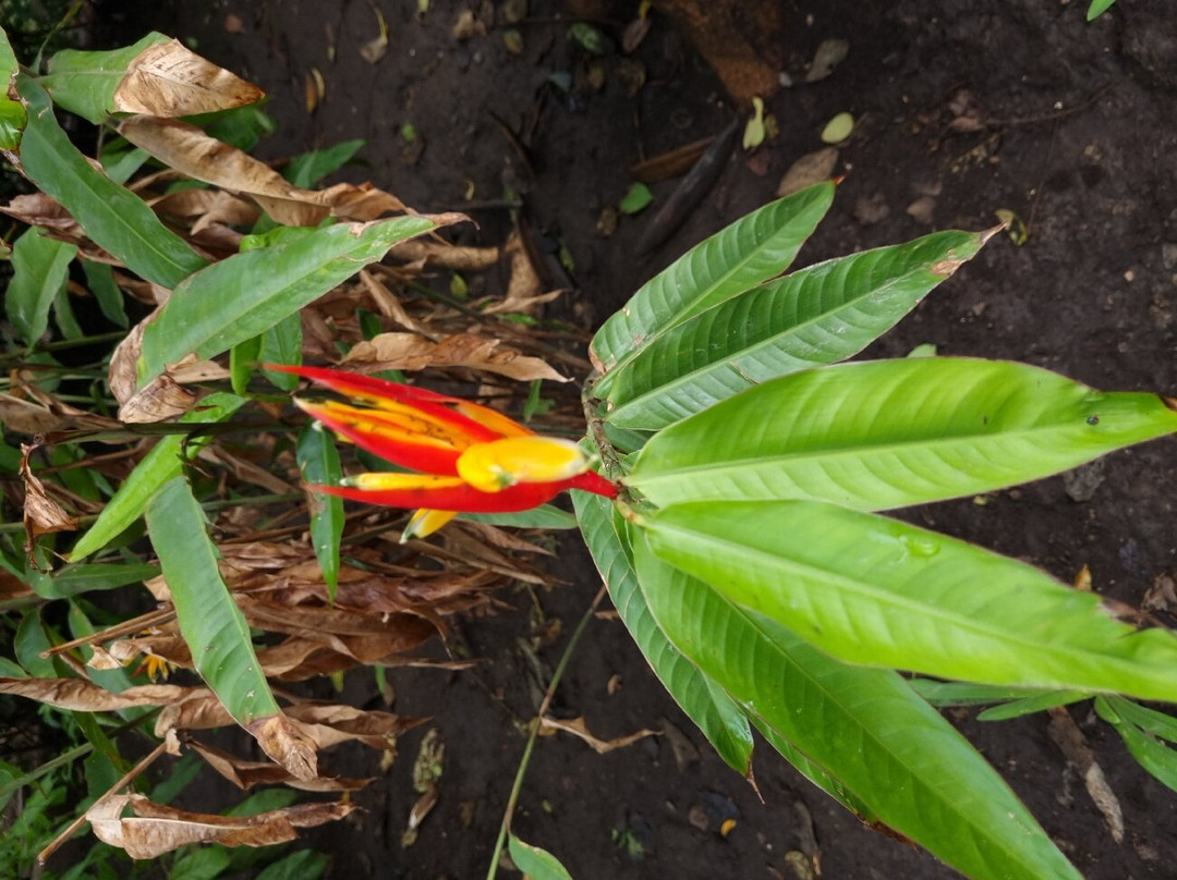 Africa Lodge Arusha主图