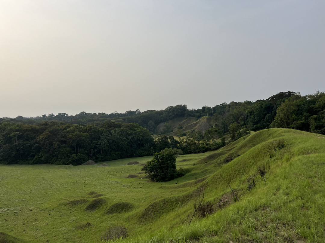 Gabon Highlights Tourism-Lope Wildlife Reserve必去景点
