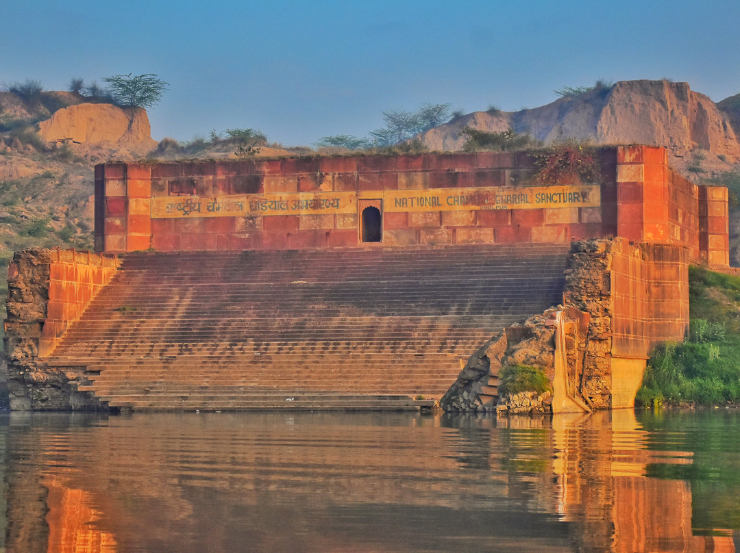 Munna Chambal River Safari Dholpur-Dholpur必去景点