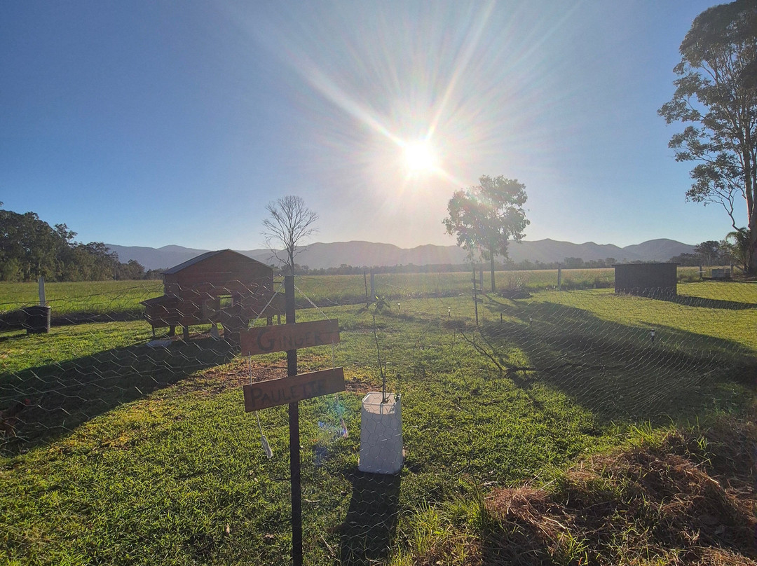 Koorawatha Homestead Motel主图