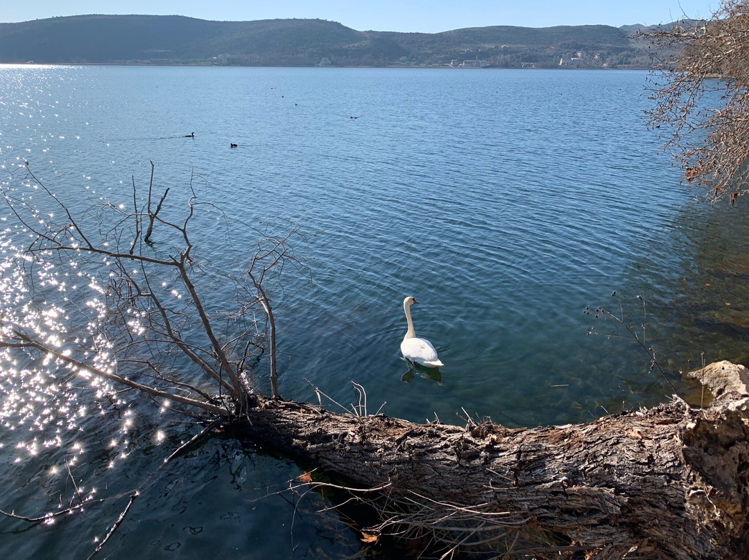 Kastoria Aquarium景点图片