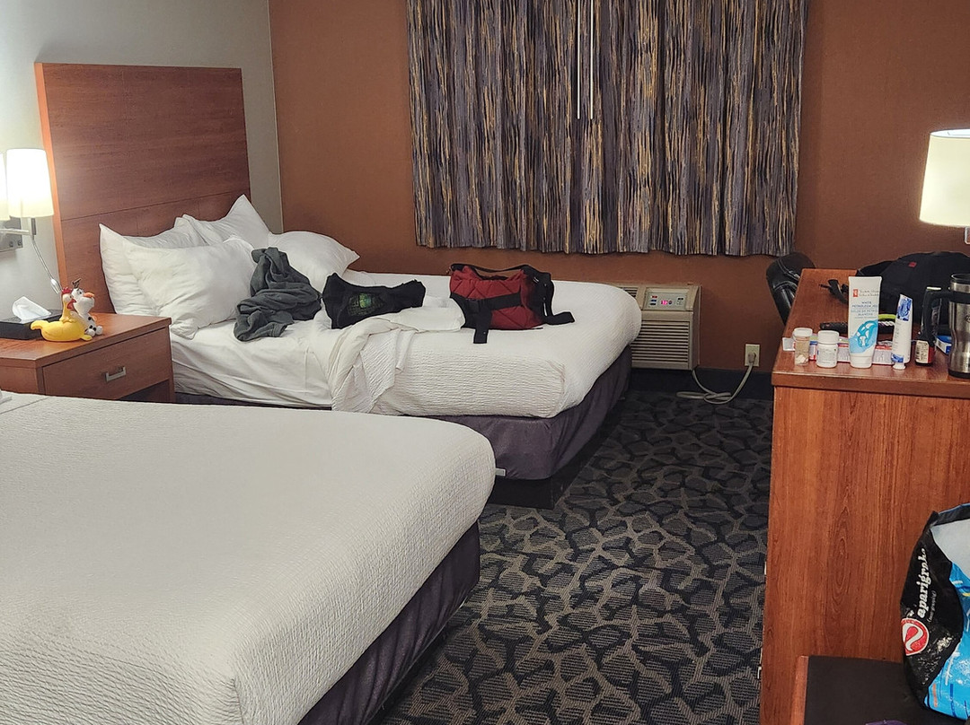 Travelodge by Wyndham Windsor主图