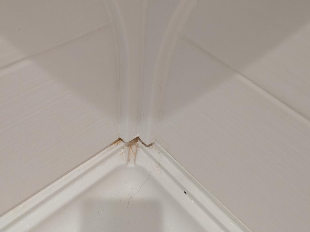 Home2 Suites By Hilton Brandon Tampa主图