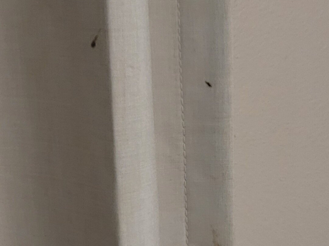 La Quinta Inn by Wyndham Richmond South主图