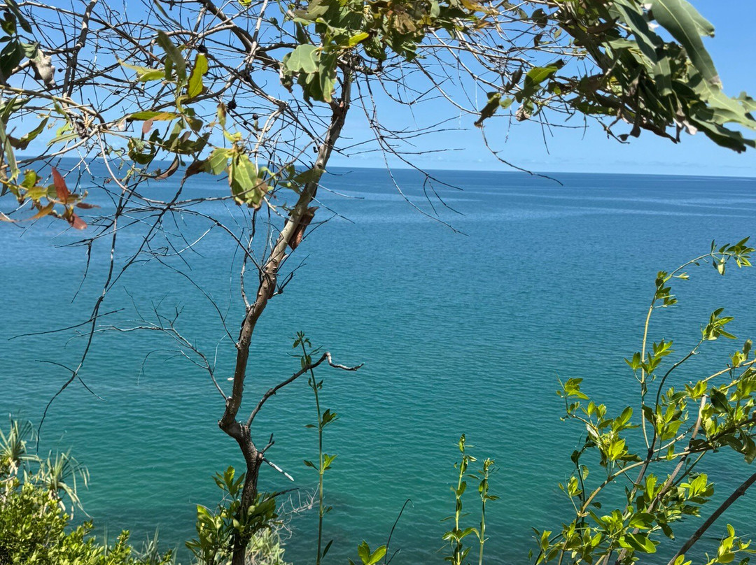 Flagstaff Hill Walking Trail-道格拉斯港必去景点