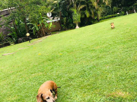 Fish Eagle Manor主图