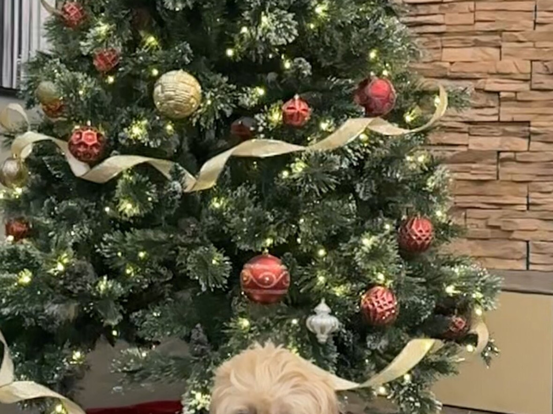 Residence Inn by Marriott Providence Coventry主图