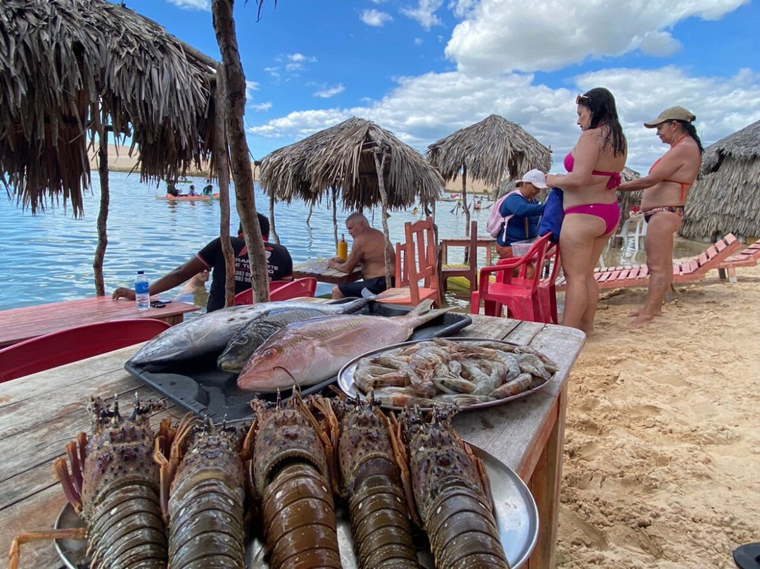 Bruma Jeri-杰里科科拉必去景点