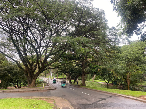 Indi tours-卡卢特勒必去景点