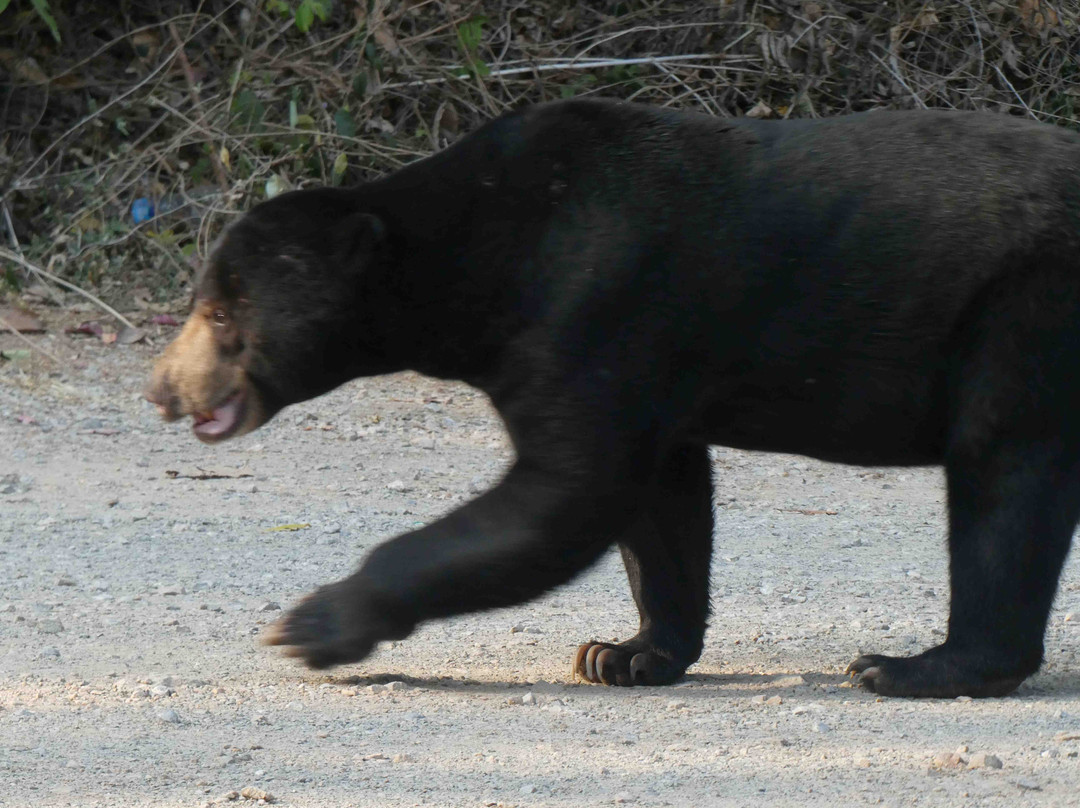 岗卡章国家公园-七岩必去景点