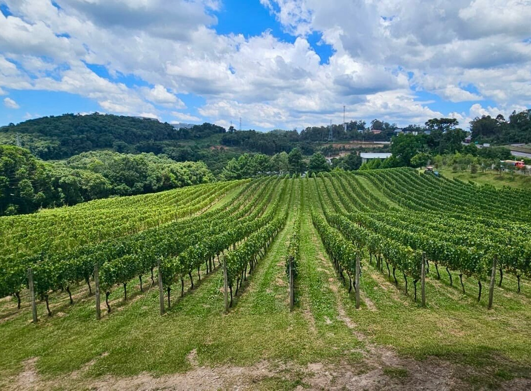 Chandon-Garibaldi必去景点