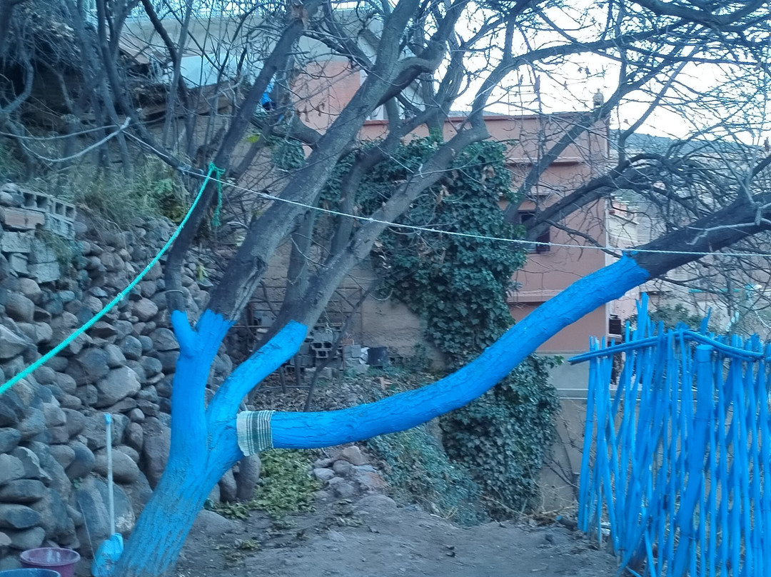 EXCURSION PERSONNALISÉE HAMID OULJID-Asni必去景点