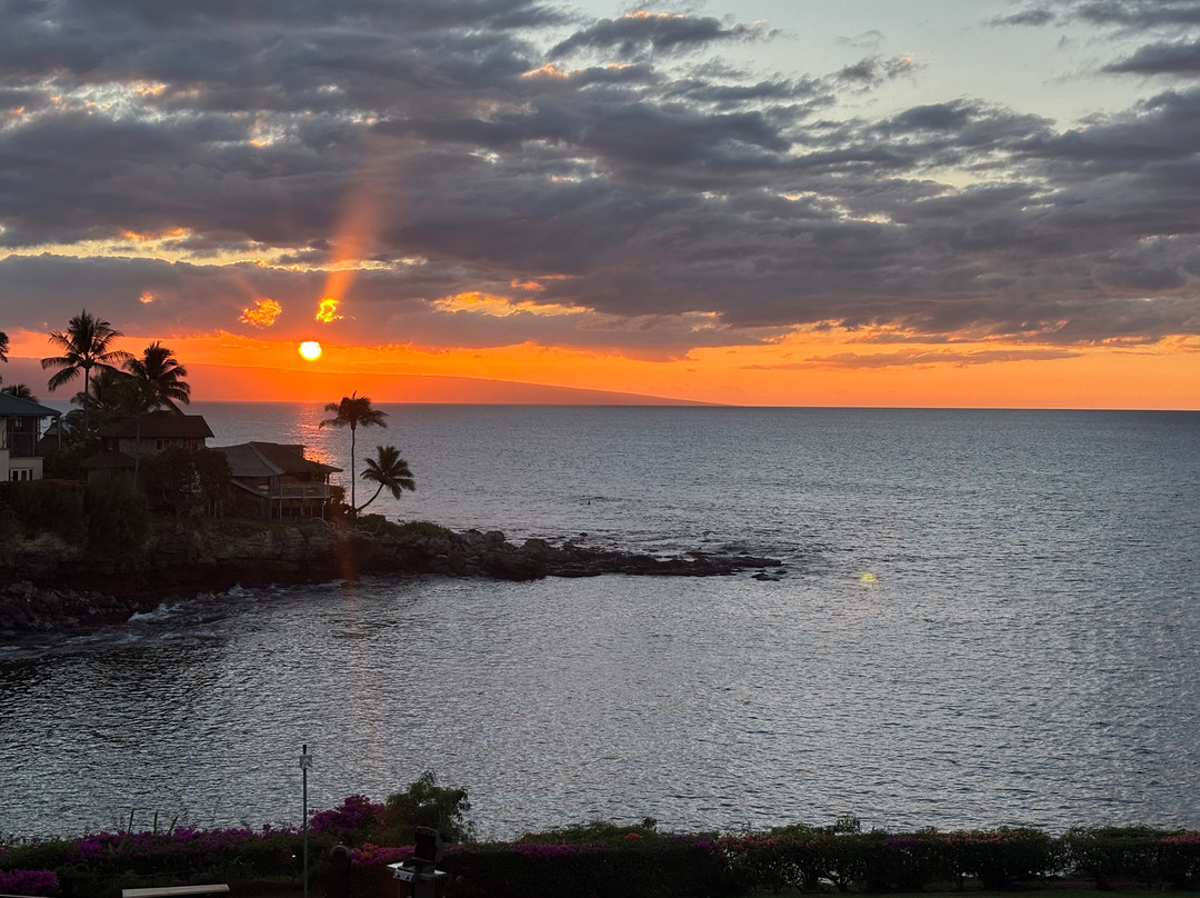 Napili Point Resort主图
