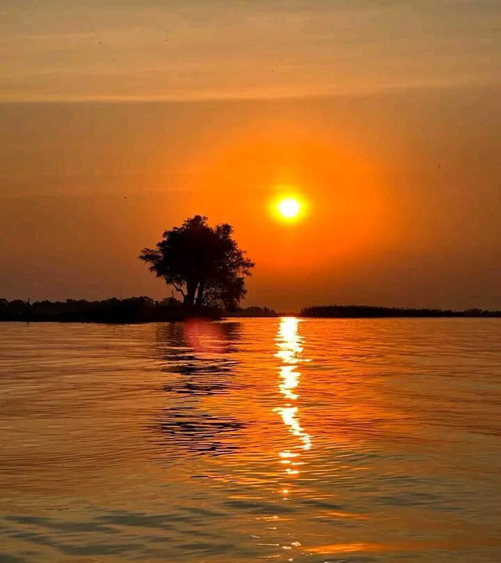 Okavango Delta-马翁必去景点