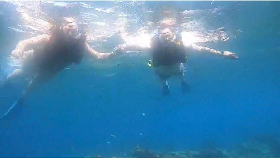 Snorkeling Tour Varadero景点图片