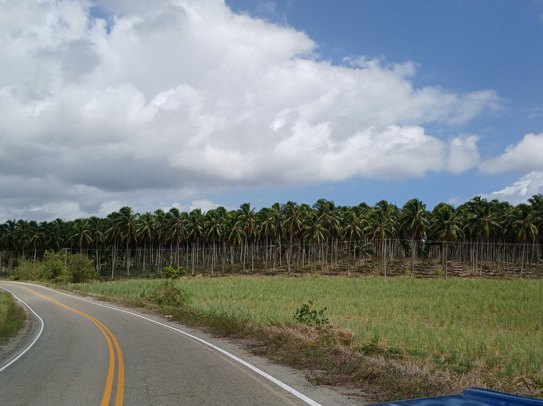 Passeios No Paraiso-Joao Pessoa必去景点