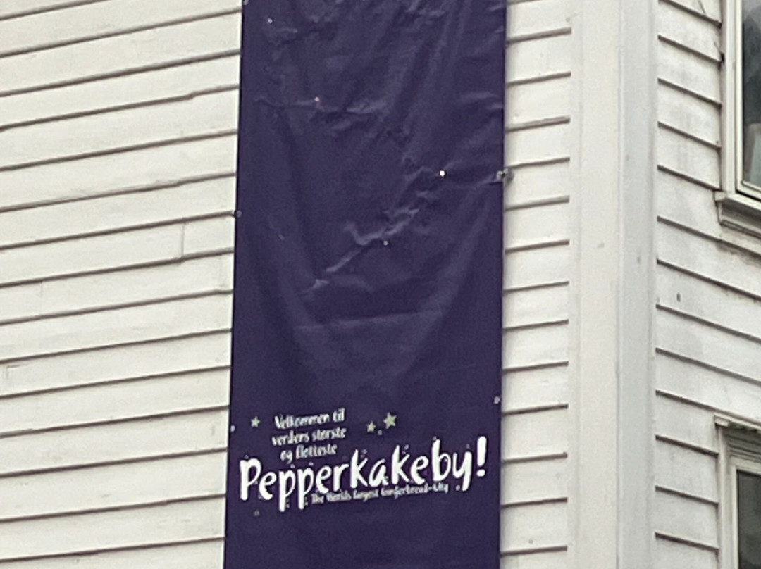Pepperkakebyen-卑尔根必去景点