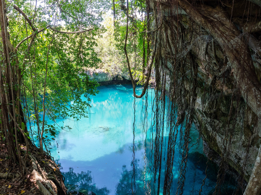 Sulawesi Eco Adventure景点图片
